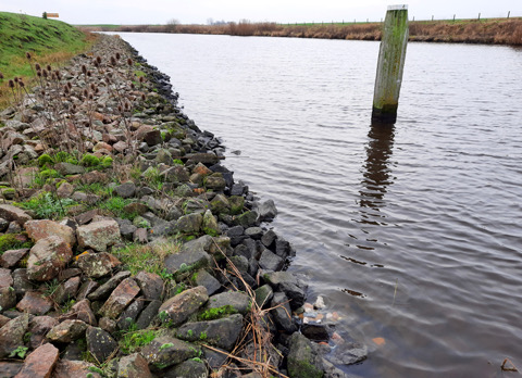 Gedachtenis-stenen naar Reitdiep