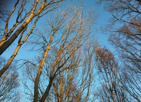 Iets op het spoor komen