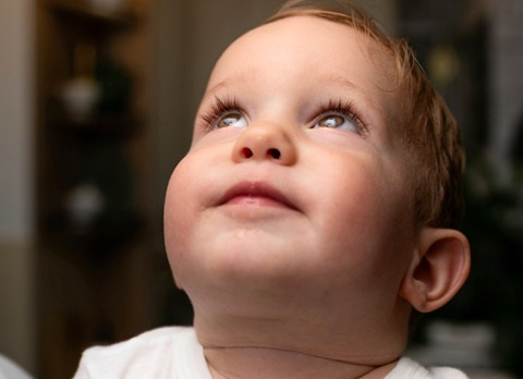 Wek mijn zachtheid weer…