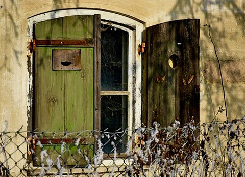 Van angst naar vertrouwen