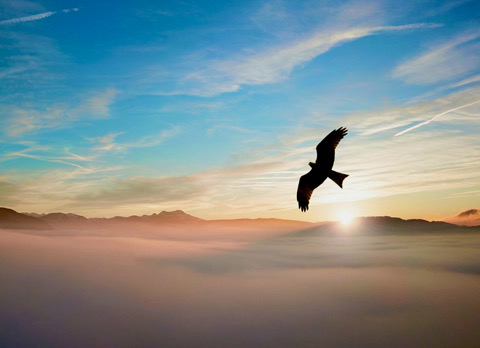 Verleiding weerstaan