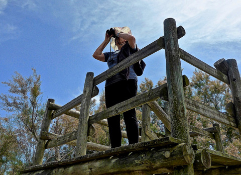 VO-klein: hoe gaan we verder?