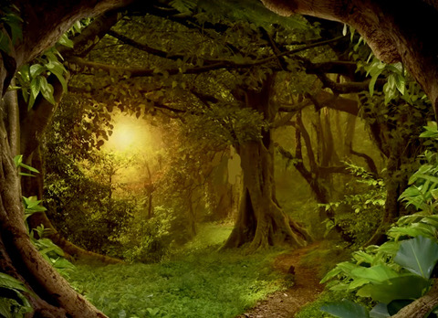 Dat koninkrijk van u: onze aarde