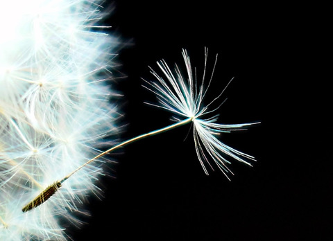 Vertrouwen door de angst heen