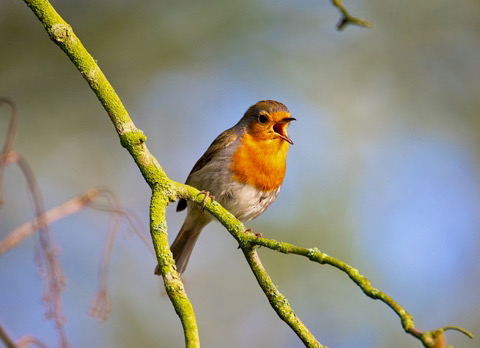 Twee berichten van het VO-klein