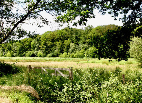 Bericht van het VO-klein
