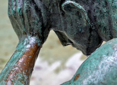 Zomervieringen augustus