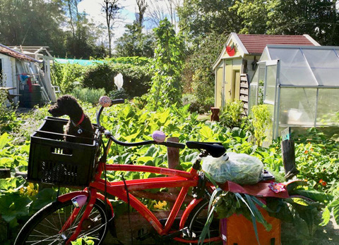 Pepertuinders gezocht!