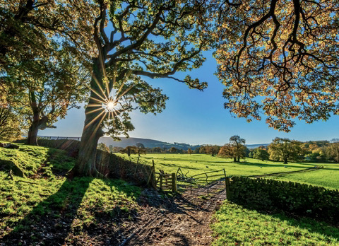 Peperwandeling september