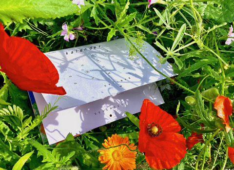 Geduld is een schone zaak