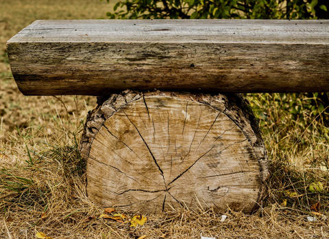 Sterfelijkheid: leren sterfelijk te zijn