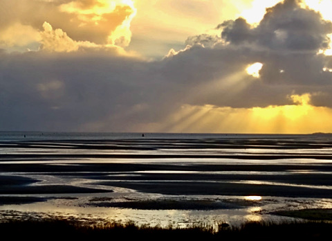 Op weg naar het licht