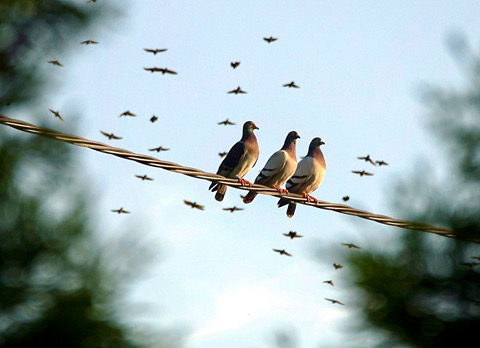 Bericht van het VO-klein