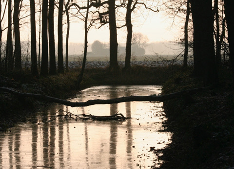 Wat doen we met dat Licht?