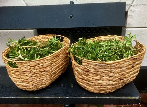 Inspiratie uit worsteling