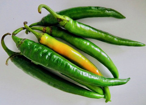 De Peper als Groene Kerk