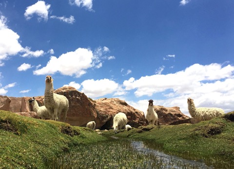 Wandeltocht in Vastentijd