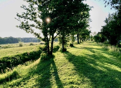 Het VO-klein roept ons op…