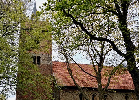 Feest van de Geest rond Pinksteren