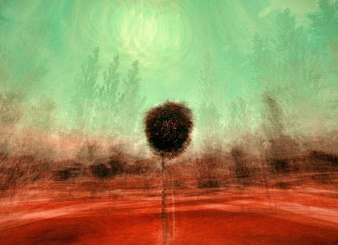 Culturele zomeractiviteiten