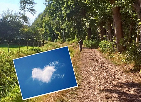 Eerste en tweede zomerviering