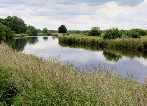 Er is nog zomer……