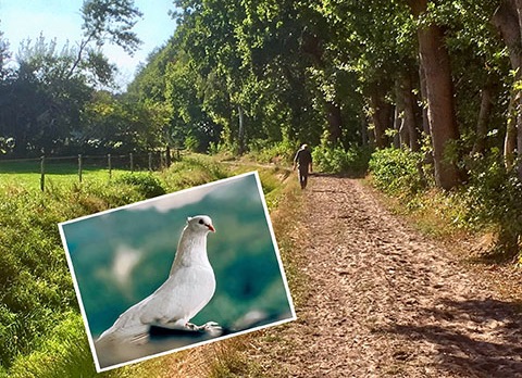 Laatste zomerviering: Vrijheid
