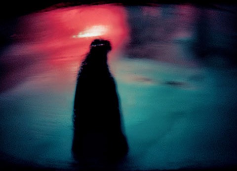 Vierde zondag van Advent