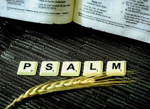 Struinen door ‘Psalmen Anders’