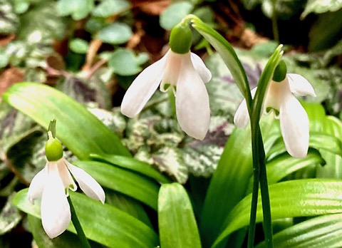 Zin om nieuwe liedteksten te schrijven?