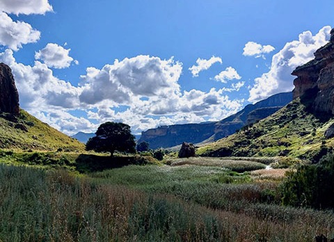 Met Drijfveren onderweg