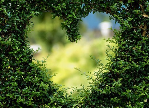 Oproep voor versterking