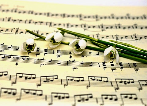 Twee muzikale evenementen in Stad