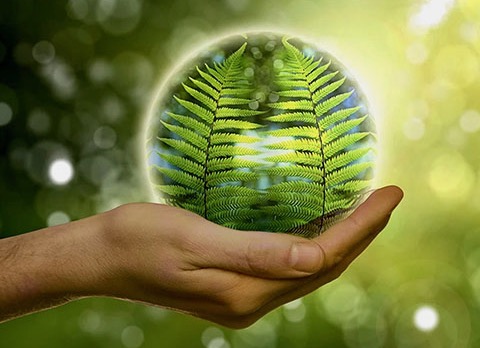 OVG-ECO team gaat van start