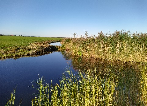 Ochtendgebed met klankschaal