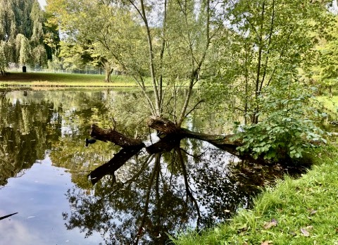 Gedachtenisviering ‘Over de grens’